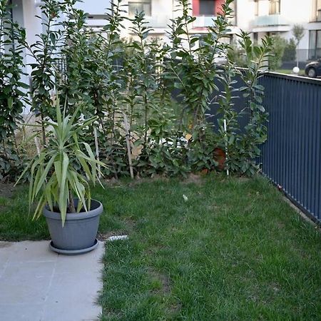 #Minehouse Apartment Timişoara Exterior foto