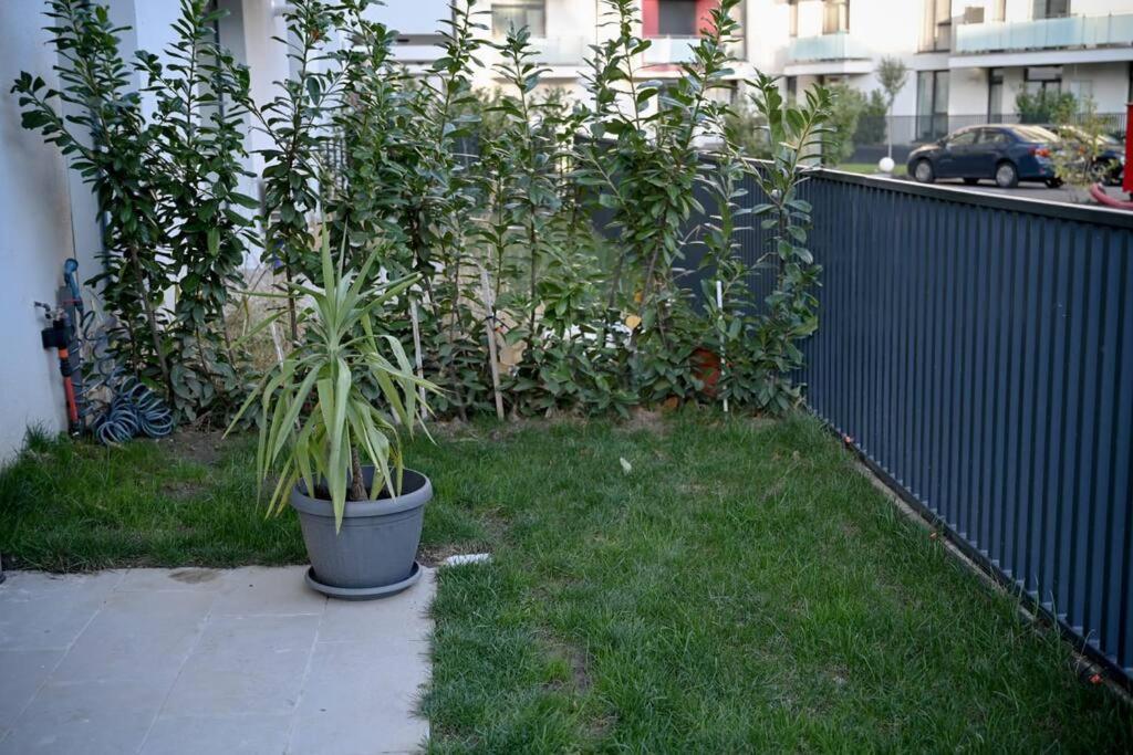#Minehouse Apartment Timişoara Exterior foto